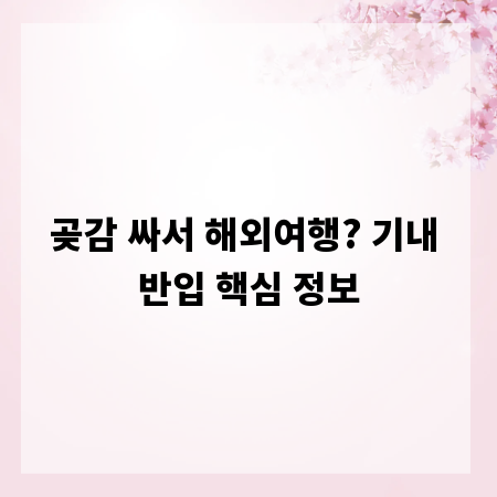 곶감 싸서 해외여행? 기내 반입 핵심 정보