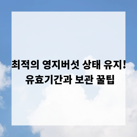 최적의 영지버섯 상태 유지! 유효기간과 보관 꿀팁