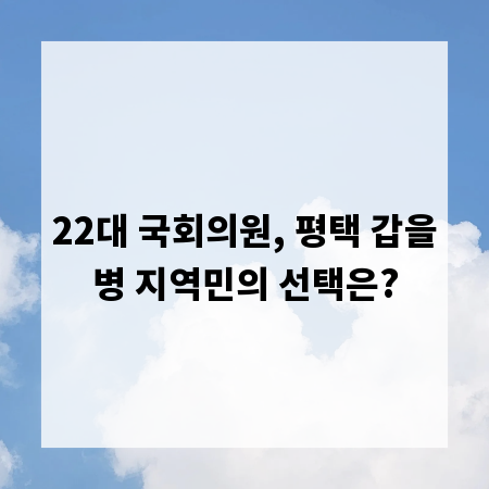 22대 국회의원, 평택 갑을병 지역민의 선택은?