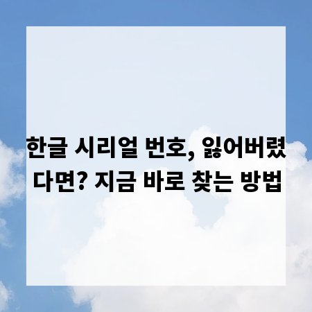 한글 시리얼 번호, 잃어버렸다면? 지금 바로 찾는 방법