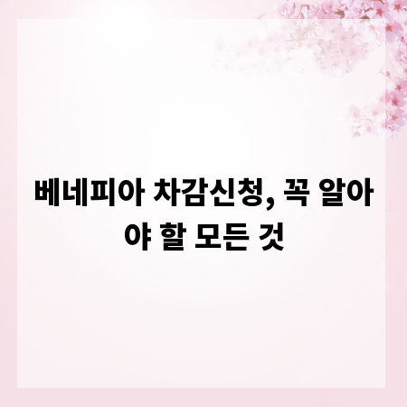 베네피아 차감신청, 꼭 알아야 할 모든 것