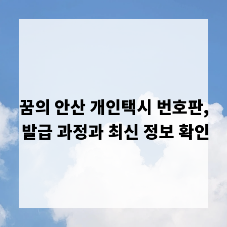 꿈의 안산 개인택시 번호판, 발급 과정과 최신 정보 확인