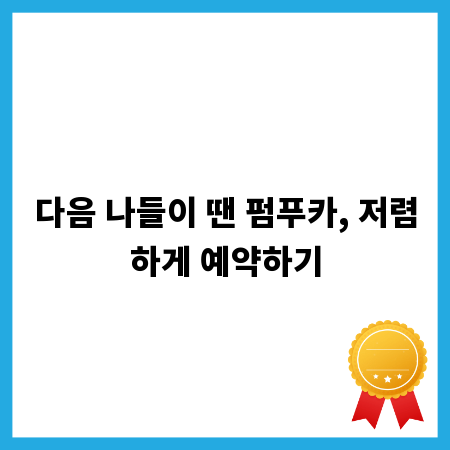 다음 나들이 땐 펌푸카, 저렴하게 예약하기