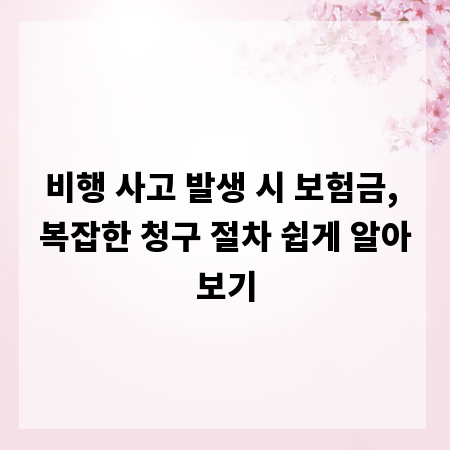 비행 사고 발생 시 보험금, 복잡한 청구 절차 쉽게 알아보기