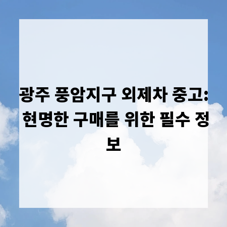 광주 풍암지구 외제차 중고: 현명한 구매를 위한 필수 정보