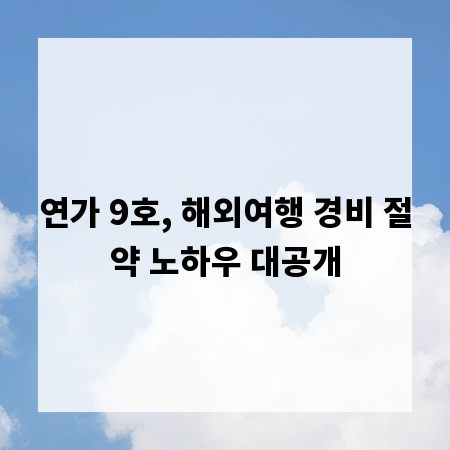 연가 9호, 해외여행 경비 절약 노하우 대공개