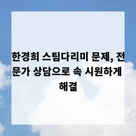 한경희 스팀다리미 문제, 전문가 상담으로 속 시원하게 해결