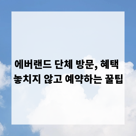 에버랜드 단체 방문, 혜택 놓치지 않고 예약하는 꿀팁