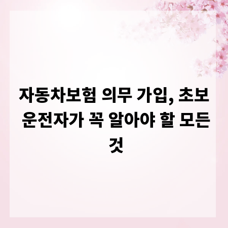 자동차보험 의무 가입, 초보 운전자가 꼭 알아야 할 모든 것
