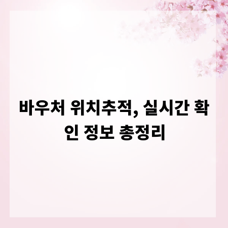바우처 위치추적, 실시간 확인 정보 총정리