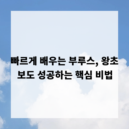 빠르게 배우는 부루스, 왕초보도 성공하는 핵심 비법