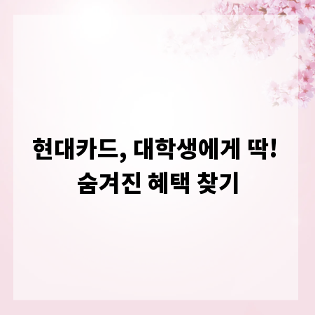 현대카드, 대학생에게 딱! 숨겨진 혜택 찾기