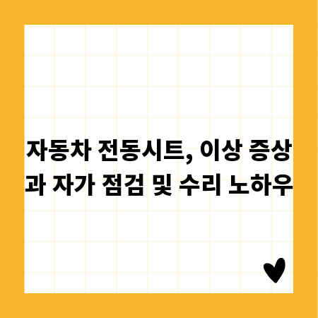 자동차 전동시트, 이상 증상과 자가 점검 및 수리 노하우