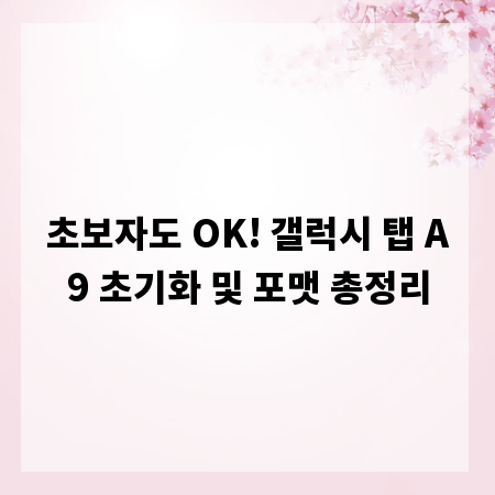 초보자도 OK! 갤럭시 탭 A9 초기화 및 포맷 총정리