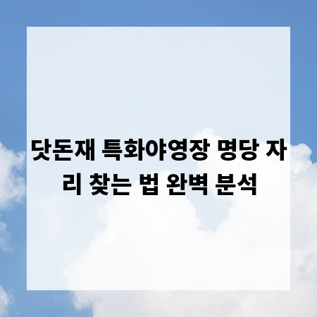 닷돈재 특화야영장 명당 자리 찾는 법 완벽 분석