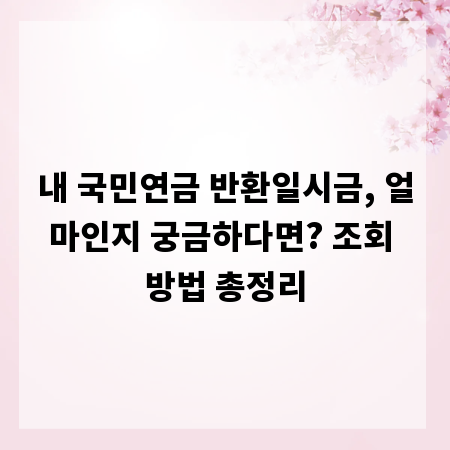 내 국민연금 반환일시금, 얼마인지 궁금하다면? 조회 방법 총정리