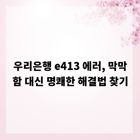 우리은행 e413 에러, 막막함 대신 명쾌한 해결법 찾기