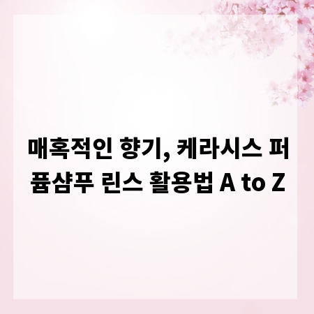 매혹적인 향기, 케라시스 퍼퓸샴푸 린스 활용법 A to Z