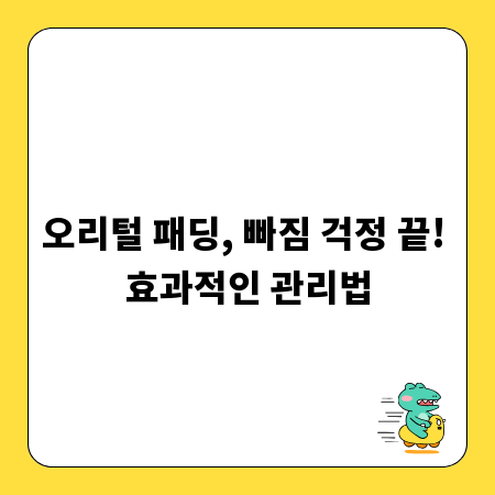 오리털 패딩, 빠짐 걱정 끝! 효과적인 관리법