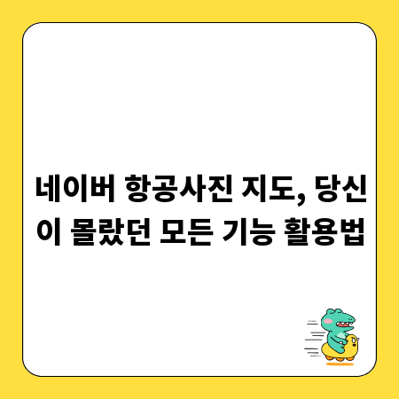 네이버 항공사진 지도, 당신이 몰랐던 모든 기능 활용법