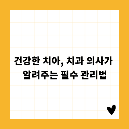 건강한 치아, 치과 의사가 알려주는 필수 관리법