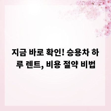 지금 바로 확인! 승용차 하루 렌트, 비용 절약 비법