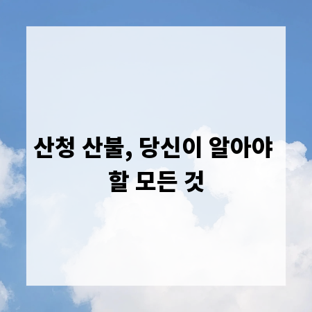 산청 산불, 당신이 알아야 할 모든 것