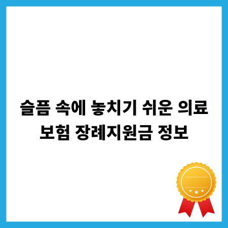 슬픔 속에 놓치기 쉬운 의료보험 장례지원금 정보