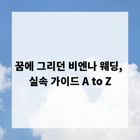 꿈에 그리던 비엔나 웨딩, 실속 가이드 A to Z