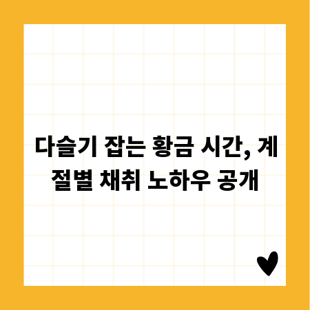 다슬기 잡는 황금 시간, 계절별 채취 노하우 공개