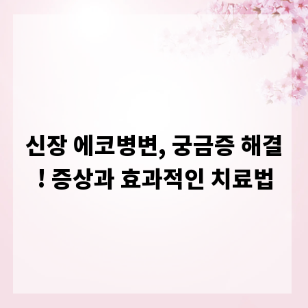 신장 에코병변, 궁금증 해결! 증상과 효과적인 치료법
