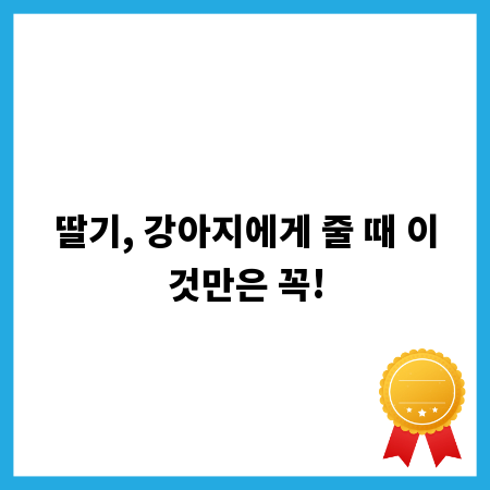 딸기, 강아지에게 줄 때 이것만은 꼭!