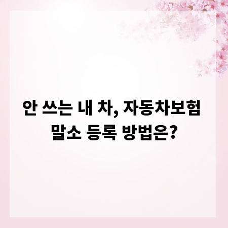 안 쓰는 내 차, 자동차보험 말소 등록 방법은?
