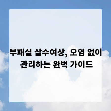 부패실 살수여상, 오염 없이 관리하는 완벽 가이드