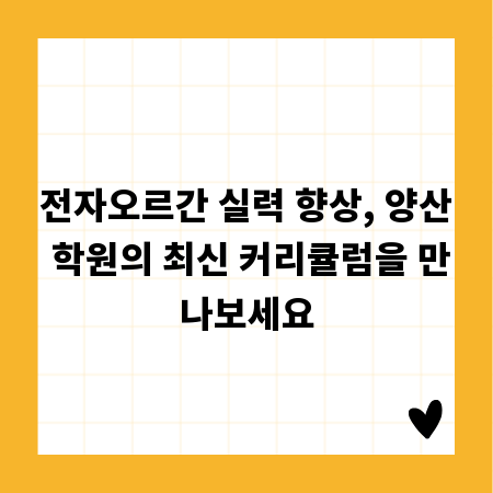 전자오르간 실력 향상, 양산 학원의 최신 커리큘럼을 만나보세요