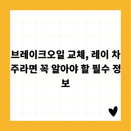 브레이크오일 교체, 레이 차주라면 꼭 알아야 할 필수 정보