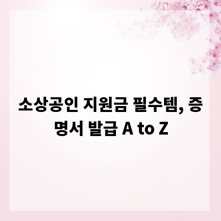 소상공인 지원금 필수템, 증명서 발급 A to Z