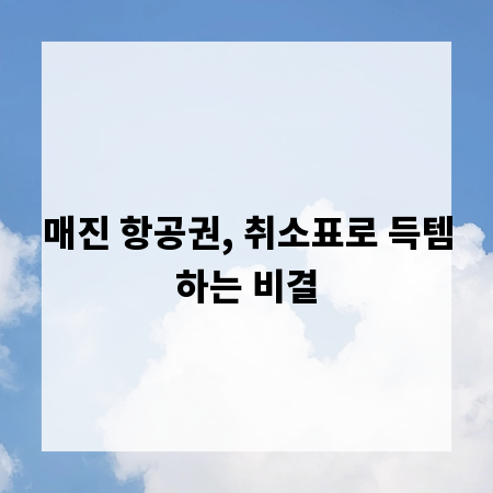 매진 항공권, 취소표로 득템하는 비결