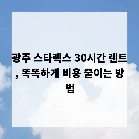 광주 스타렉스 30시간 렌트, 똑똑하게 비용 줄이는 방법