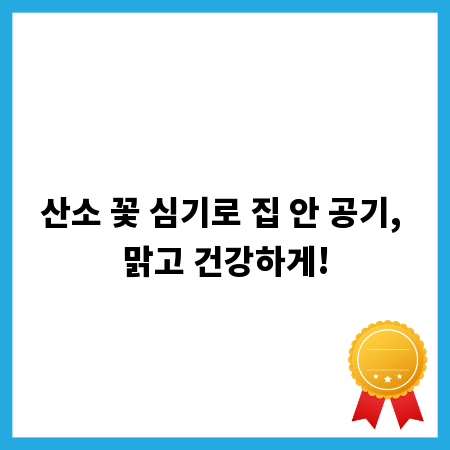 산소 꽃 심기로 집 안 공기, 맑고 건강하게!