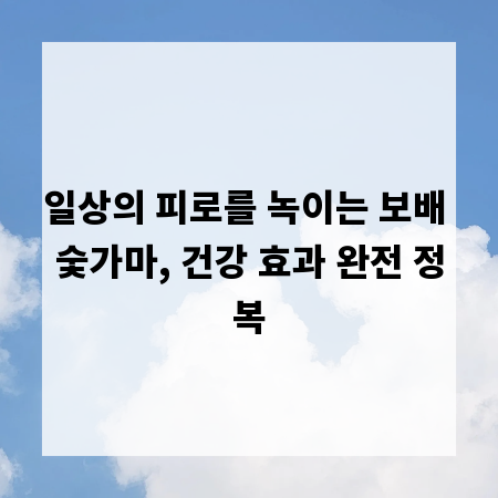 일상의 피로를 녹이는 보배 숯가마, 건강 효과 완전 정복
