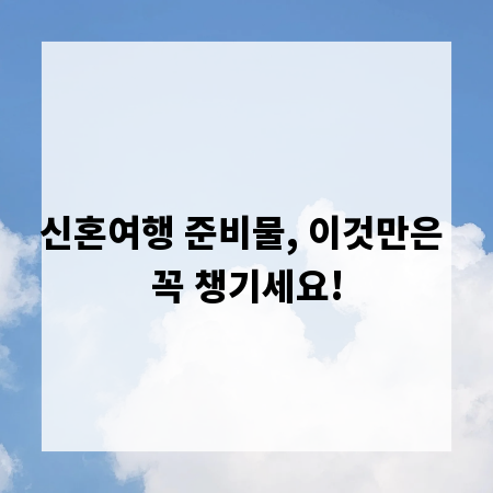 신혼여행 준비물, 이것만은 꼭 챙기세요!