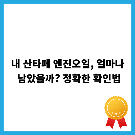 내 산타페 엔진오일, 얼마나 남았을까? 정확한 확인법