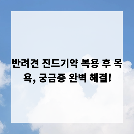 반려견 진드기약 복용 후 목욕, 궁금증 완벽 해결!