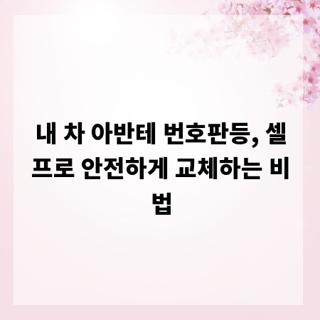 내 차 아반테 번호판등, 셀프로 안전하게 교체하는 비법