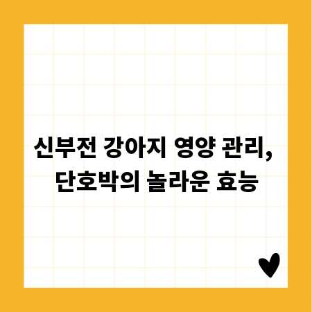 신부전 강아지 영양 관리, 단호박의 놀라운 효능