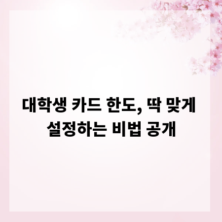 대학생 카드 한도, 딱 맞게 설정하는 비법 공개