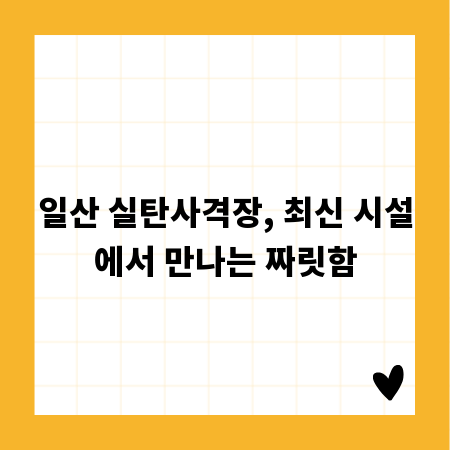 일산 실탄사격장, 최신 시설에서 만나는 짜릿함