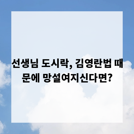선생님 도시락, 김영란법 때문에 망설여지신다면?