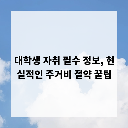 대학생 자취 필수 정보, 현실적인 주거비 절약 꿀팁